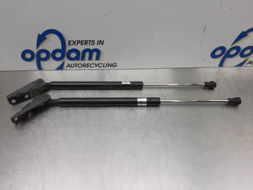 Set Gasdempers Achterklep-7609798