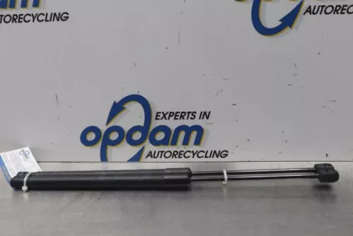 Set Gasdempers Achterklep-7877606