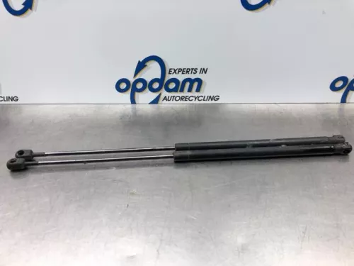 Set Gasdempers Achterklep-7366125