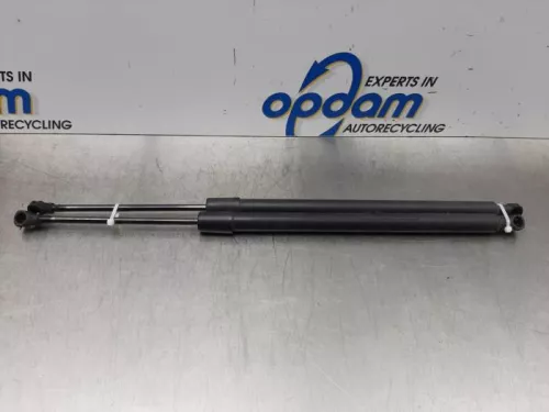 Set Gasdempers Achterklep-7617225