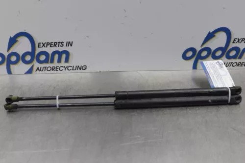 Set Gasdempers Achterklep-7877084