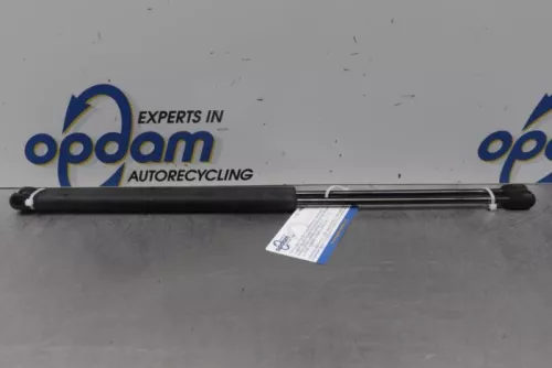 Set Gasdempers Achterklep-7876946