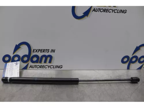 Set Gasdempers Achterklep-7877676