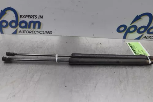 Set Gasdempers Achterklep-7611095