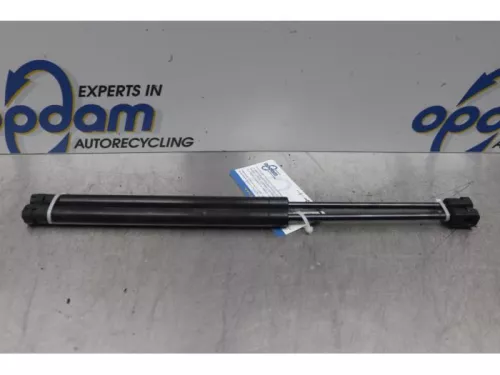 Set Gasdempers Achterklep-7877553