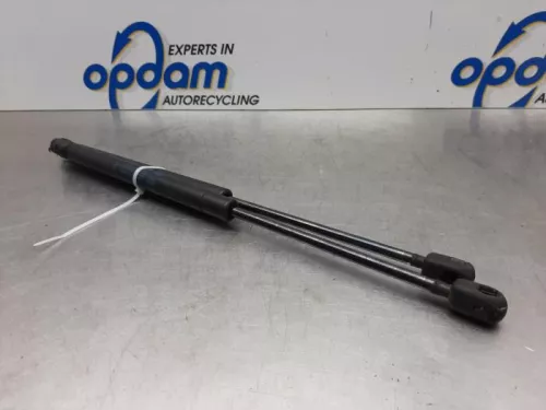 Set Gasdempers Achterklep-7544435