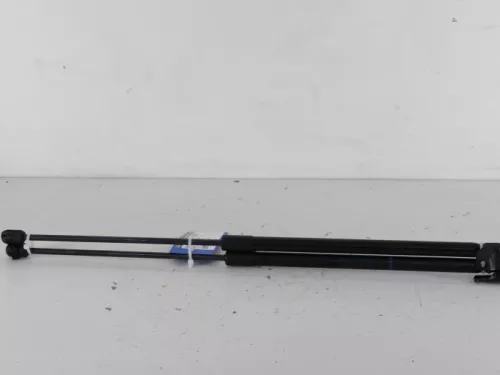 Set Gasdempers Achterklep-7888647