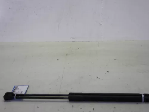 Set Gasdempers Achterklep-7884068