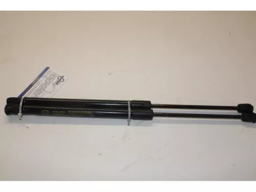 Set Gasdempers Achterklep-7877998