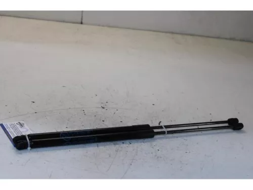 Set Gasdempers Achterklep-5504727
