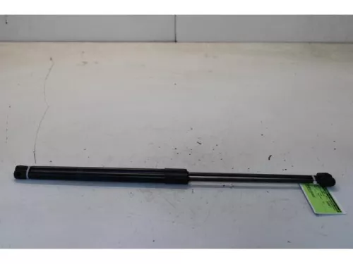 Set Gasdempers Achterklep-7879065