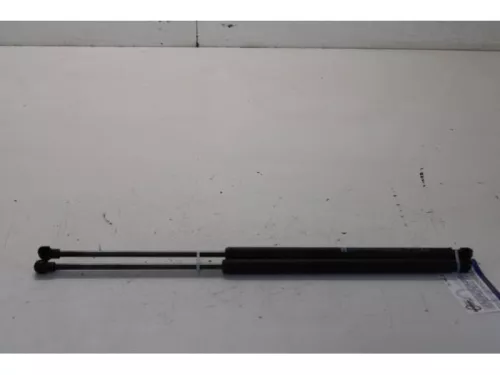 Set Gasdempers Achterklep-7867165