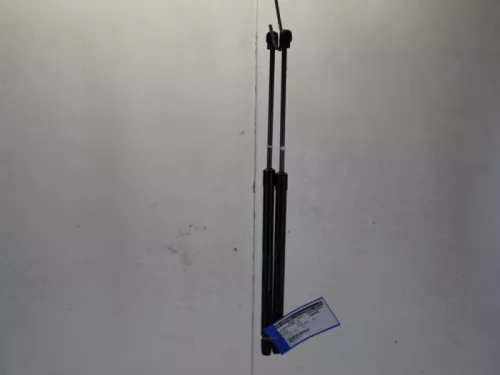 Set Gasdempers Achterklep-7737085