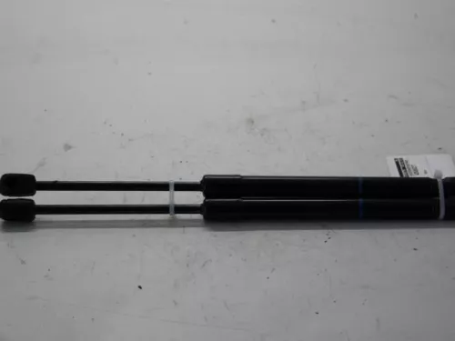 Set Gasdempers Achterklep-7590645