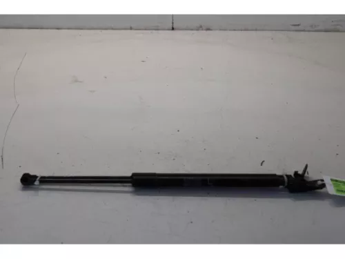 Set Gasdempers Achterklep-7878777