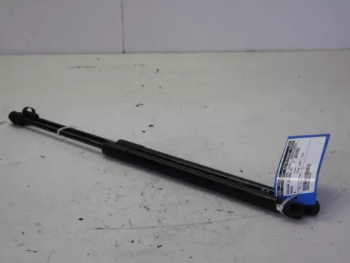 Set Gasdempers Achterklep-7717335