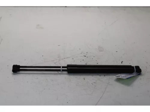 Set Gasdempers Achterklep-7879004