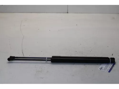 Set Gasdempers Achterklep-7589902
