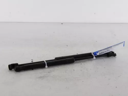 Set Gasdempers Achterklep-7890653