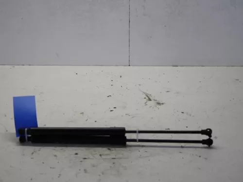 Set Gasdempers Achterklep-7736561
