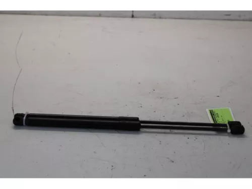 Set Gasdempers Achterklep-7716785