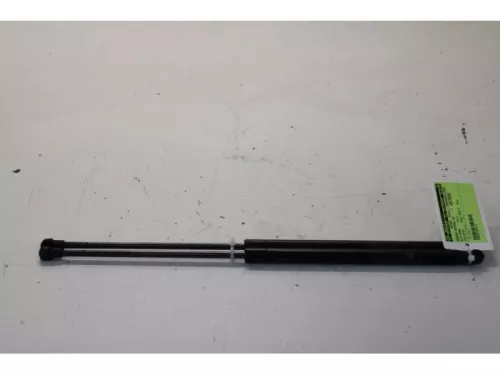 Set Gasdempers Achterklep-7879775