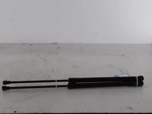 Set Gasdempers Achterklep-7728456