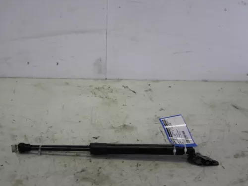 Set Gasdempers Achterklep-7737619