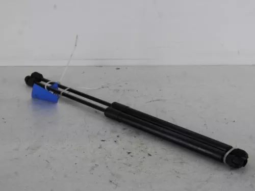 Set Gasdempers Achterklep-7846313