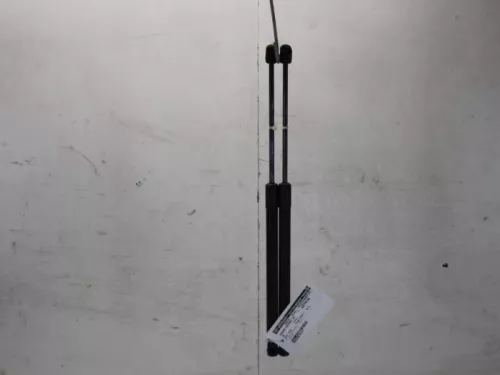 Set Gasdempers Achterklep-7582921