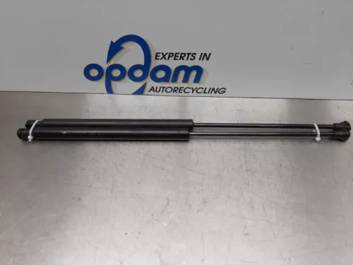 Set Gasdempers Achterklep-7589740