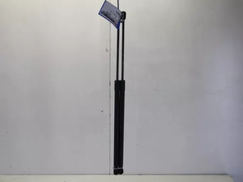 Set Gasdempers Achterklep-7882200