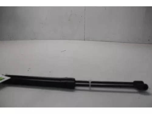 Set Gasdempers Achterklep-7877744