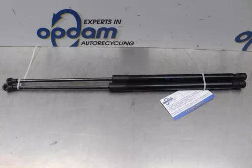 Set Gasdempers Achterklep-7820059