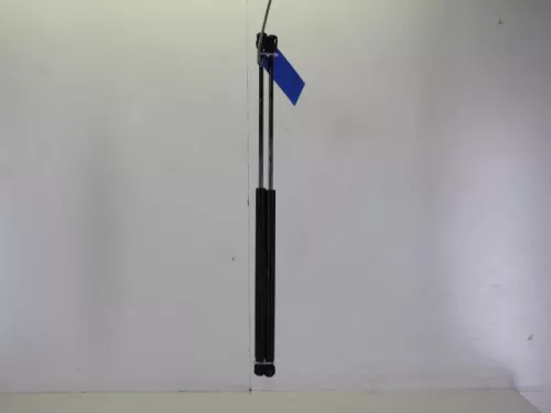 Set Gasdempers Achterklep-7712092