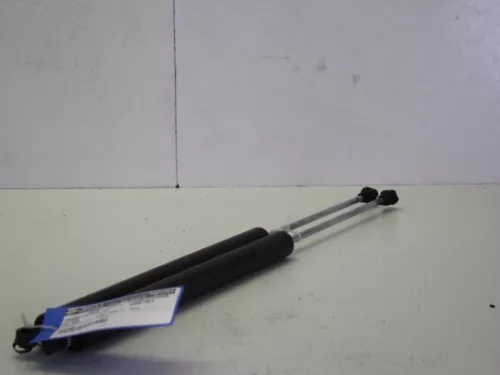 Set Gasdempers Achterklep-7738614