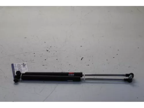 Set Gasdempers Achterklep-7715825