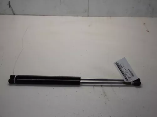 Set Gasdempers Achterklep-7617765