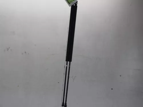 Set Gasdempers Achterklep-7612937