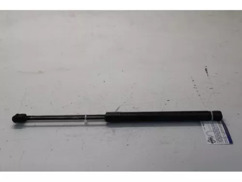 Set Gasdempers Achterklep-7619863