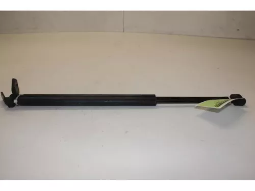 Set Gasdempers Achterklep-7878465