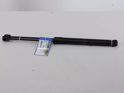 Set Gasdempers Achterklep-7890840