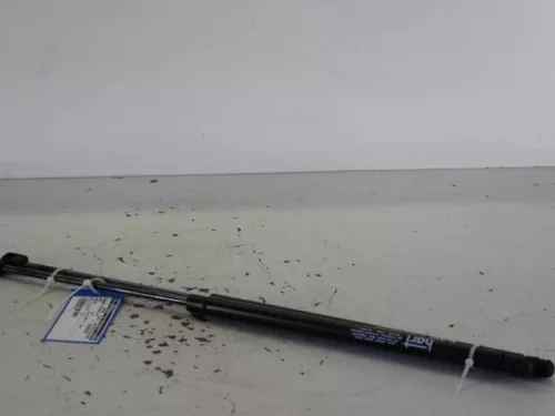 Set Gasdempers Achterklep-7886599