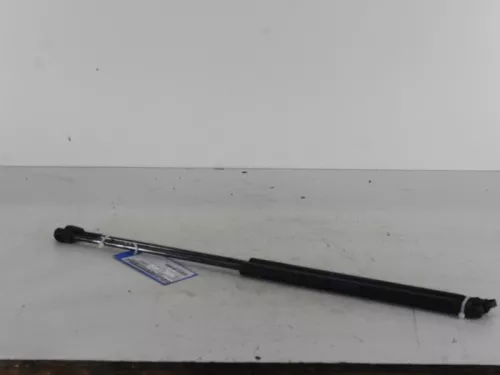 Set Gasdempers Achterklep-7888660