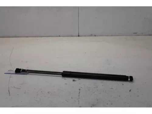 Set Gasdempers Achterklep-7878945