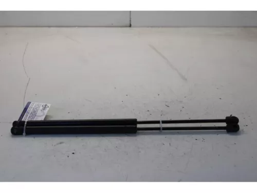 Set Gasdempers Achterklep-7878646