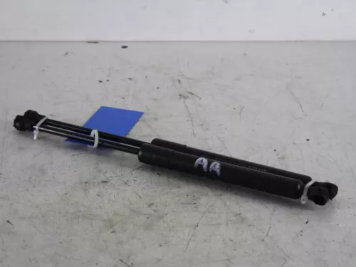 Set Gasdempers Achterklep-7887511