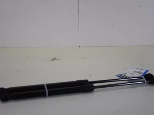 Set Gasdempers Achterklep-7885594