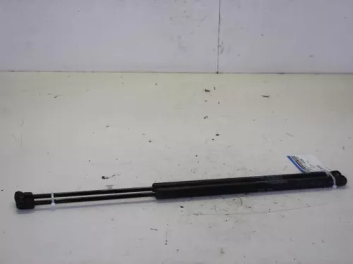 Set Gasdempers Achterklep-7882761