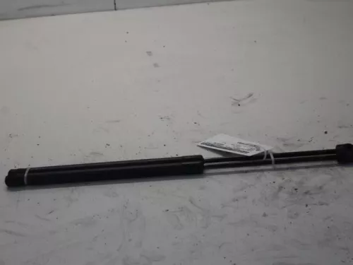 Set Gasdempers Achterklep-7879693